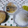 11月19日晩ご飯