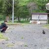 軽井沢あっちこっち