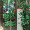 水戸八幡宮　あじさい祭り