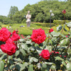 神代植物公園　花と緑の公園　