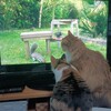 みんなでテレビ。