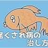尾ぐされ病の治し方！魚病薬や再発防止策、早期発見・治療が大切です