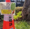 生態系支えるミツバチ