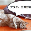 暑くなる前から、熱中症対策