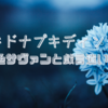 キドナプキディング 青色サヴァンと戯言遣いの娘　感想