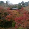 京都散策（右京）