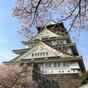 桜と大阪城天守閣を満喫♪