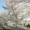 地球で創造主として生きるｗ