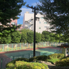 お盆は暑かったですね