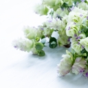 ☆naturaの女性力向上blog☆