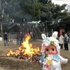 お正月行事の締めとなる「どんど焼き」に行ってきました。
