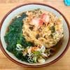 そば谷（板橋本町）太うどん＋五目かき揚げ＋ほうれん草