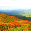 太平山登山｜秋田市のシンボル！山頂からの景色や紅葉をお伝えします！