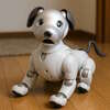 aibo（アイボ）をお得に手に入れる6つの方法｜安価なモデルってあるの？