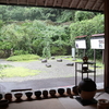 今日の「慎太郎茶会」