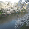 経る時、花紀行、さくらさくら（ユーミンで桜ソング）