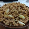 【かかってこいや】毎日キング牛丼189日目