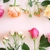 薔薇の挿し木のやり方