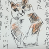 猫本４の行方