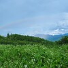 夏を洗い流す。