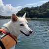 しらたまと精進湖カヌー