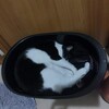 時間に厳しいねっこさん