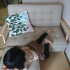 子育て小説を書いてみよう