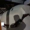 えらい雪