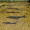 2025年4月30日（水）　四月のあとがき