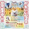 ハナとミオ♪フォトコンテスト②o(●´ω｀●)o♪