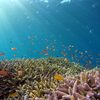 じじぃの「カオス・地球_417_大絶滅時代とパンゲア・第3章・海洋の酸性化（1）」