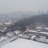 ホス公園の湖に雪が。。。