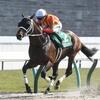 競馬初心者必見☆馬券予想🔥〜平安S〜昨年ワンツー馬に期待！