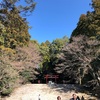 【グルテンフリーお土産】霧島観光とかるかん