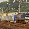 第2009列車　「　甲30 東京メトロ18000系(18107f)の甲種輸送を狙う　」