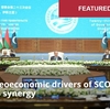 ペペ・エスコバル「『上海協力機構＝BRICS相乗効果』の地経学的推進要因」