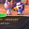 どうぶつの森 グレースのファッションチェック とびだせ どうぶつの森 ゆらゆら村のプレイ日記