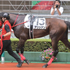 愛馬観戦記　R5-39【アリシアン　3歳上1勝クラス】