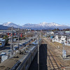 今市花市