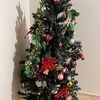 12月です🎄