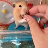 コタロー、再度動物病院へ
