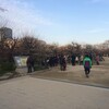 大阪城公園で梅を見てきました