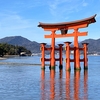 厳島神社①昼顔