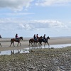 レイタウンの海岸競馬