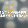 黄色ブドウ球菌の天敵！オゾン発生器が奏でる除菌メソッドとは？