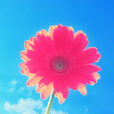 aikapのブログ