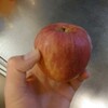 返礼…