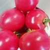 自家採種したトマトの成長記録　⑥　　大玉トマトも収穫時期
