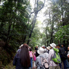 城山探鳥例会　１０月