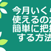 【節約】今月いくら使えるのか簡単に把握する方法